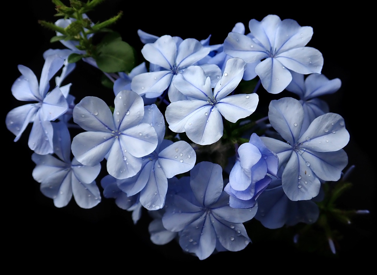 Flower Beds With Rock Borders - flower garden with rock border