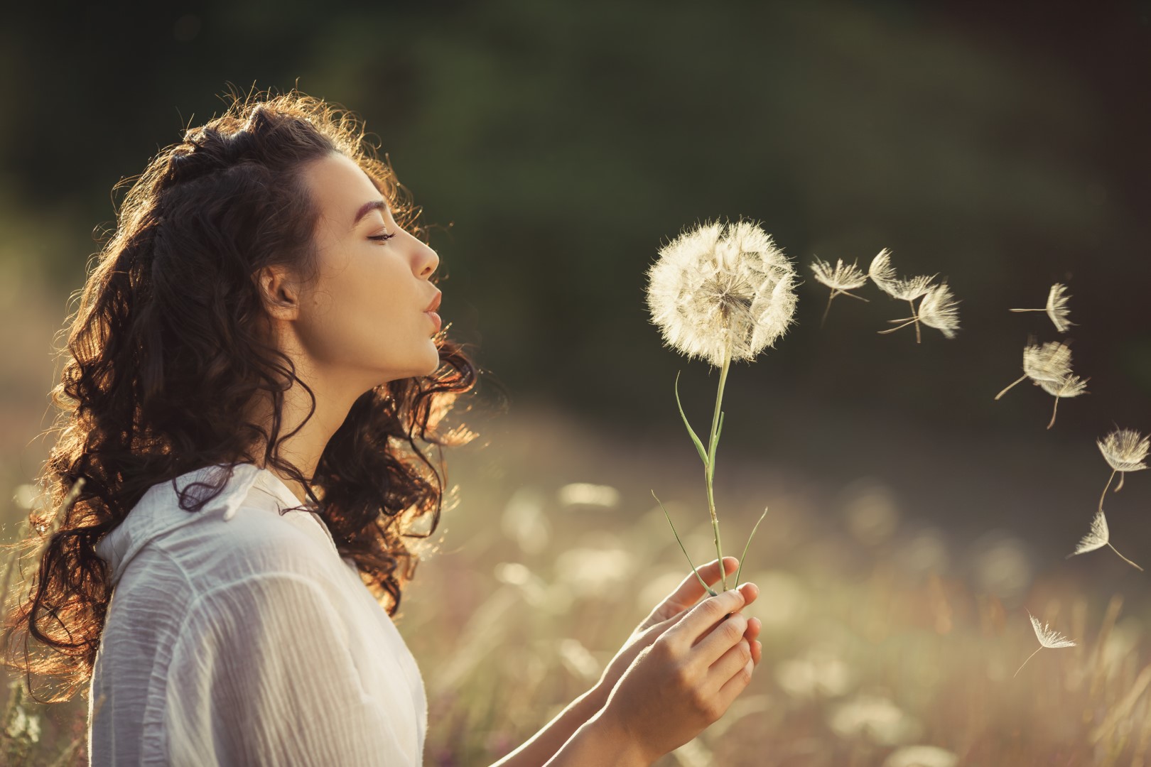 The Meaning And Symbolism Of Dandelions A To Z Flowers